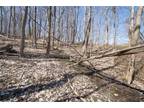 Plot For Sale In South Bristol, New York