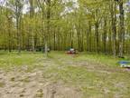 Property For Sale In Germfask, Michigan
