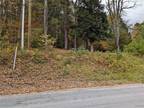 Plot For Sale In Lyonsdale, New York
