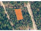 Plot For Sale In Florahome, Florida