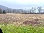 Plot For Sale In Great Valley, New York