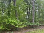 Plot For Sale In Bridgman, Michigan