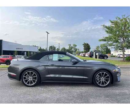 2019 Ford Mustang EcoBoost Premium is a 2019 Ford Mustang EcoBoost Premium Convertible in Cordova TN