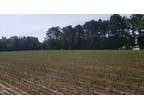 Plot For Sale In Wendell, North Carolina