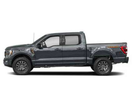2021 Ford F-150 Tremor is a 2021 Ford F-150 Car for Sale in Hayesville NC