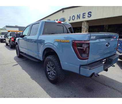 2023 Ford F-150 Tremor is a Blue, Grey 2023 Ford F-150 Car for Sale in Hayesville NC