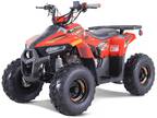 2023 Tao Motor MudHawk 6