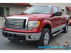 Used 2010 FORD F150 For Sale