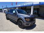 2024 Ford F-150 Gray, new