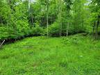 Plot For Sale In Grove, New York