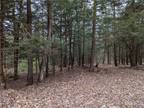Plot For Sale In Watson, New York
