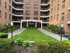 1 bedroom in White Plains NY 10601