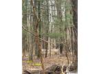 Plot For Sale In Ellicott, New York