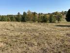 Plot For Sale In Adams, Tennessee
