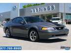 2004 Ford Mustang Mach 1 Premium