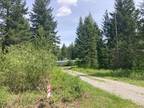 Foreclosure Property: N Pinecone Rd