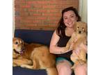 Experienced Pet Sitter in Albany, Georgia Trustworthy and Caring Services at