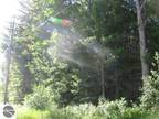 Prescott, 3.9 WOODED ACRES. Nice commercial property with