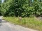 Plot For Sale In Phenix City, Alabama