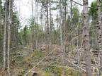 Plot For Sale In Argyle Township, Maine