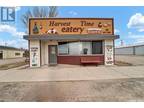 113 Railway Avenue W, Watson, SK, S0K 4V0 - commercial for sale Listing ID