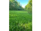 Plot For Sale In Holladay, Tennessee