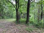 Plot For Sale In Saint Joe, Arkansas