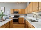 Condo For Sale In Chicago, Illinois