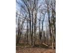 Plot For Sale In Redfield, New York
