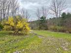 Plot For Sale In Wells, Vermont