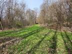 Plot For Sale In Masonville, New York