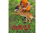 Ruger Puppy Male