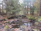 Plot For Sale In Ausable, New York