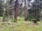 Plot For Sale In Mccall, Idaho