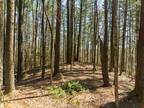 Ellijay, This stunning 1.18 acre lot nestled between and