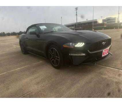 2020 Ford Mustang for sale is a Black 2020 Ford Mustang Car for Sale in Houston TX