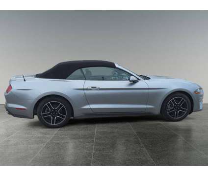 2021 Ford Mustang EcoBoost is a Silver 2021 Ford Mustang EcoBoost Car for Sale in Fallston MD