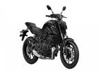 2024 Yamaha MT 07 Motorcycle for Sale