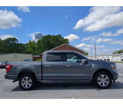 2023 Ford F-150 Platinum is a Grey 2023 Ford F-150 Platinum Car for Sale in Winder GA