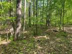 Plot For Sale In Belfast, New York