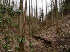 Slade, Powell County, KY Undeveloped Land for sale Property ID: 418779046
