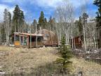 Home For Sale In Nederland, Colorado