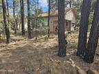 Property For Sale In Overgaard, Arizona