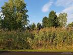 Plot For Sale In Onsted, Michigan