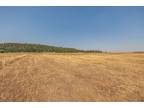 Plot For Sale In Springdale, Washington