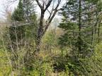 Plot For Sale In Argyle Township, Maine