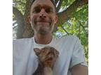 My name is Jonathan Miller and I am in Pittsburg, Kansas Pet Sitter Offering