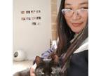 Loving Pet Sitter in Scarborough, Ontario Trustworthy Care at $16.55/hr