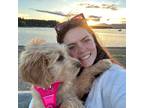Experienced Pet Sitter in Courtenay, BC Reliable & Affordable Care