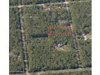 Plot For Sale In Hastings, Florida